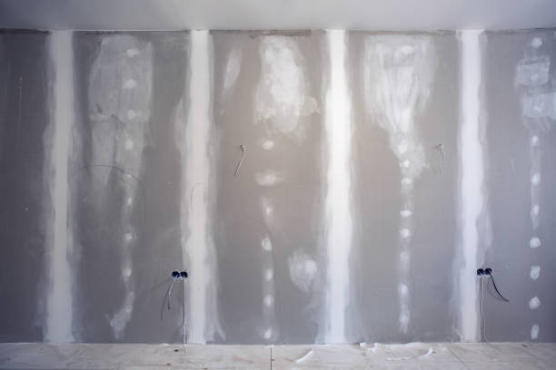 Best Fire-Damaged Drywall Repair  in Walnut, IL